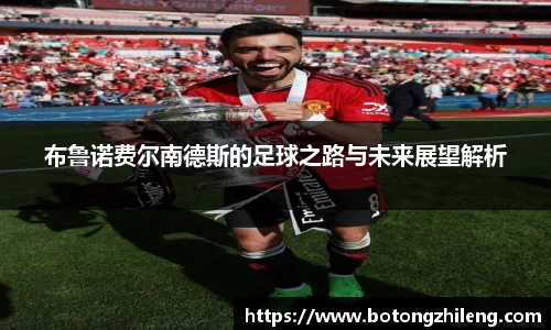 乐动LDSports官网
