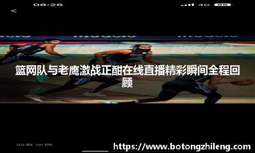 篮网队与老鹰激战正酣在线直播精彩瞬间全程回顾